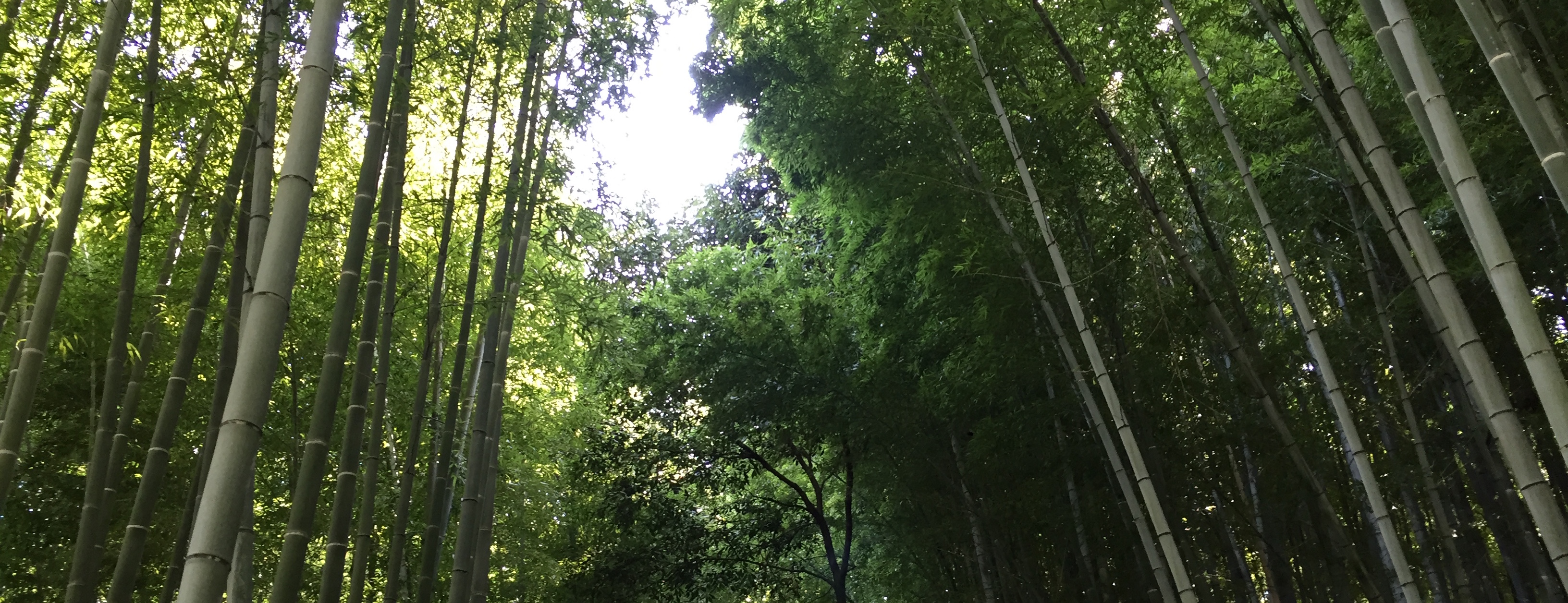 Arashiyama